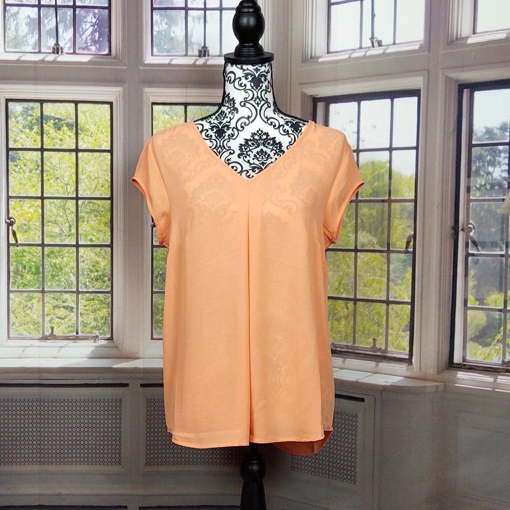 NWT DR2 BY DANIEL RAINN SHEER PEACH TOP (M)